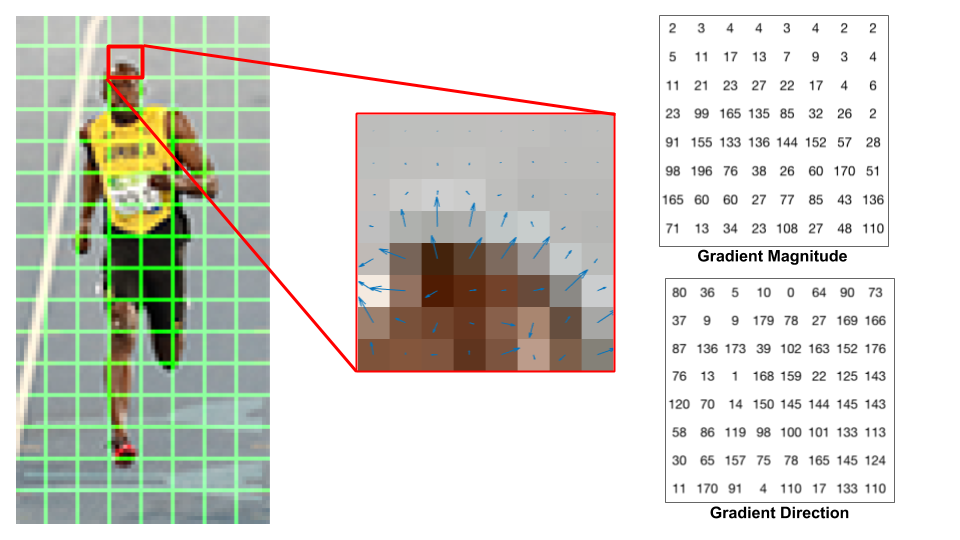 Image cell gradients(direction and magnitude)
